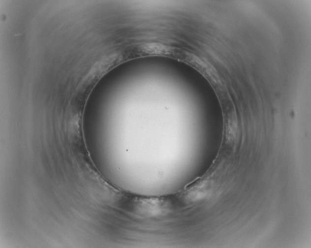 X0000089400473200706151231