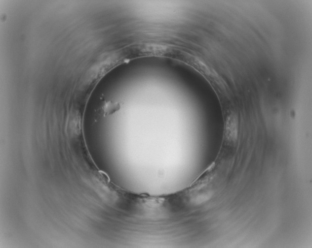 X0000089400474200706151231