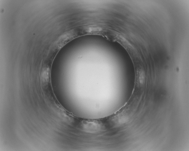 X0000089400475200706151231