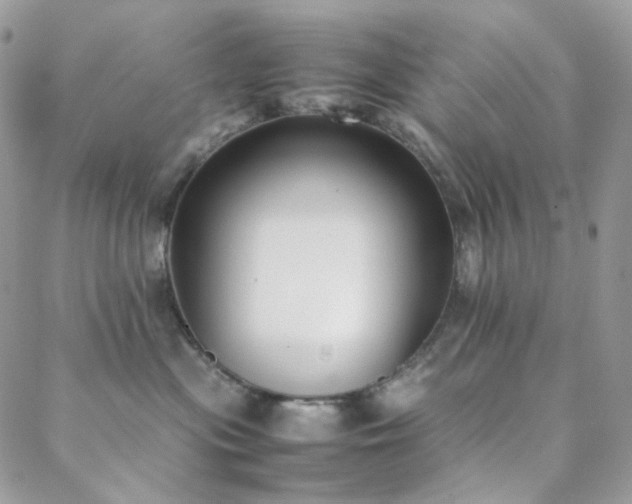 X0000089400477200706151231