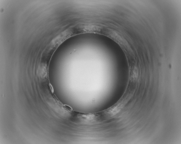 X0000089400478200706151231