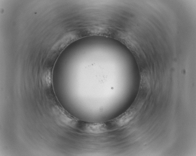 X0000089400479200706151231