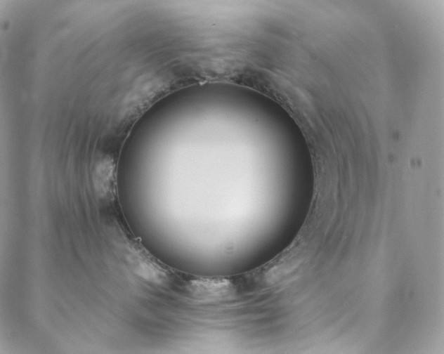 X0000089400480200706151231