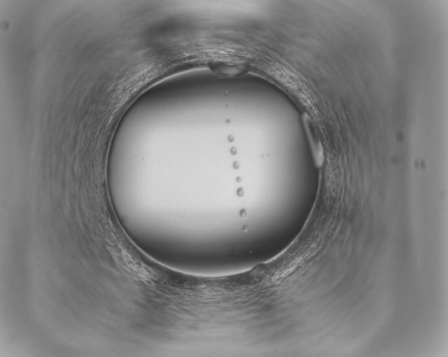 X0000089400481200706151230