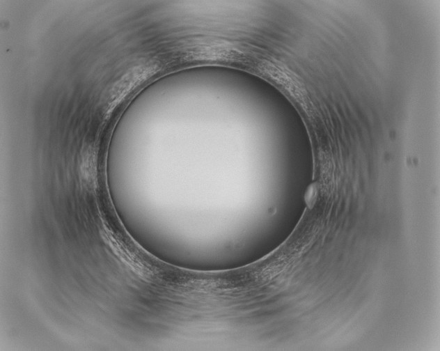 X0000089400482200706151230