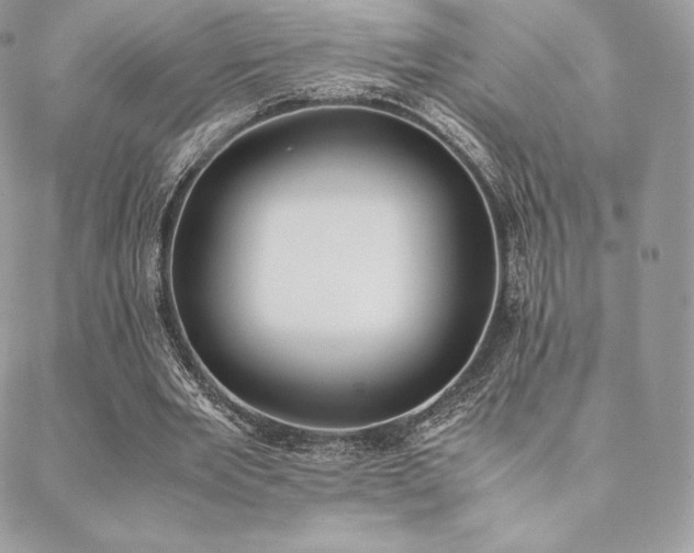 X0000089400485200706151230