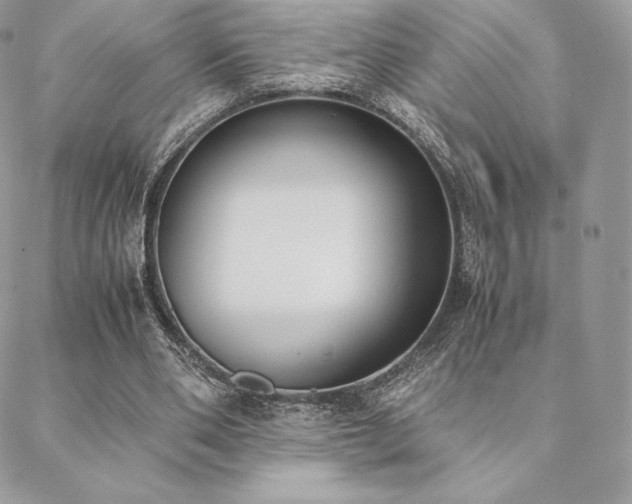 X0000089400486200706151230