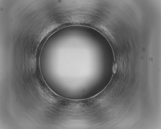 X0000089400488200706151230