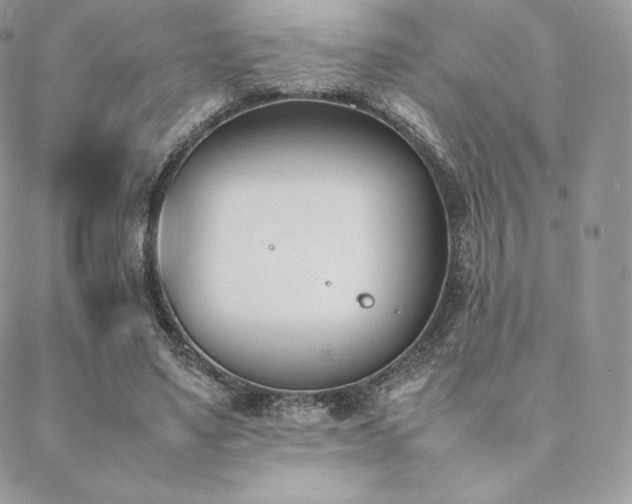 X0000089400491200706151230