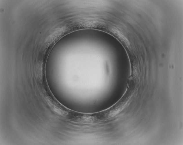 X0000089400493200706151230