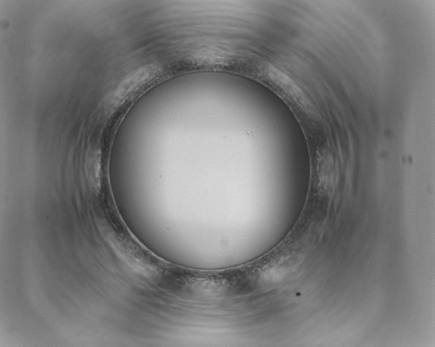 X0000089400494200706151230