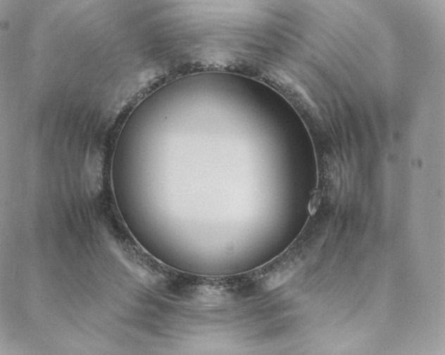 X0000089400496200706151230