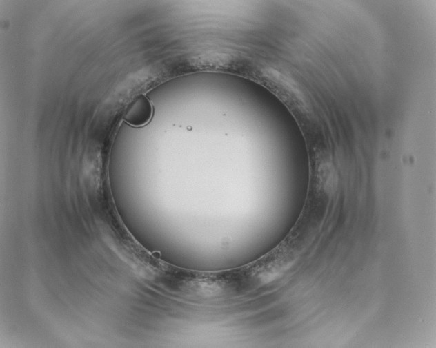 X0000089400498200706151230