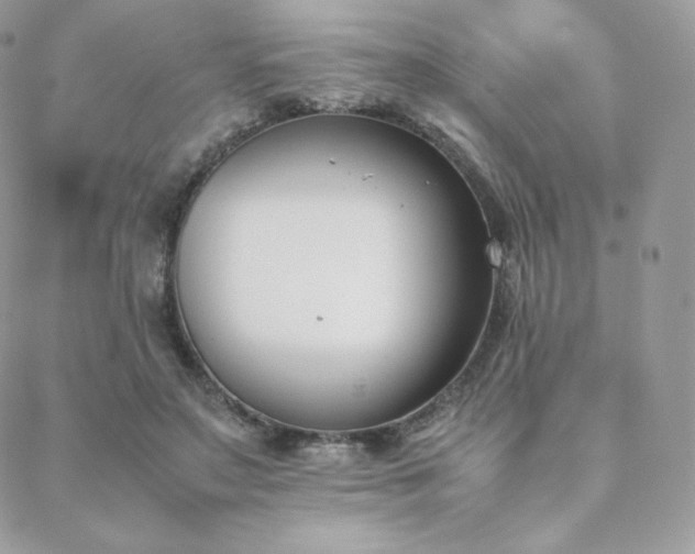 X0000089400499200706151230