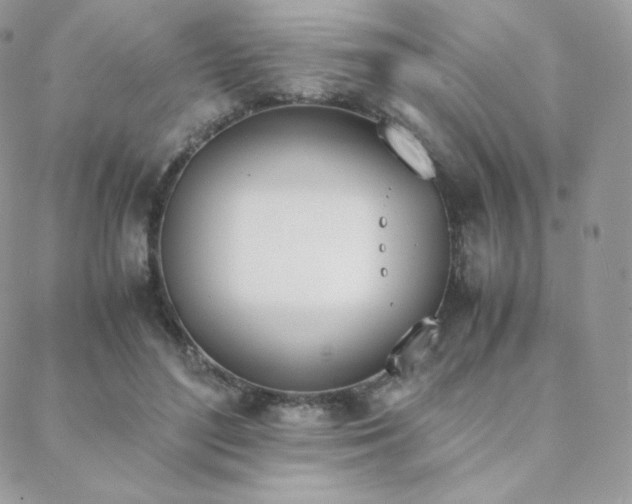 X0000089400500200706151230