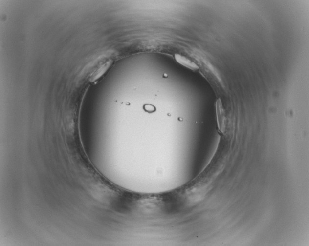 X0000089400505200706151230