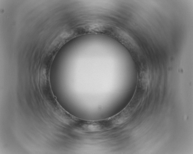 X0000089400506200706151230