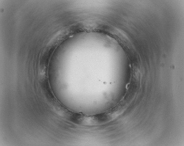 X0000089400507200706151230