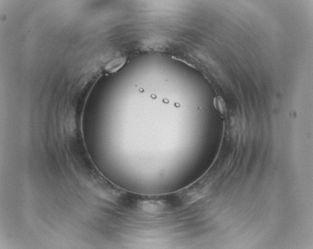 X0000089400508200706151230