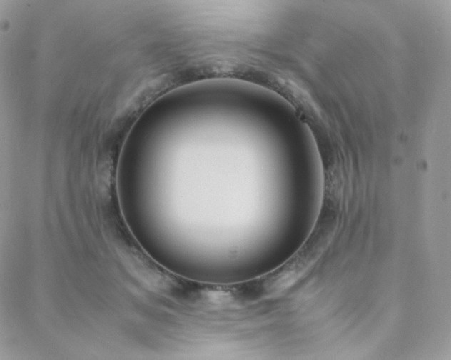 X0000089400509200706151230