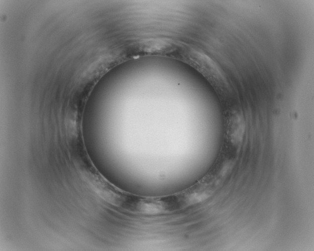 X0000089400510200706151230