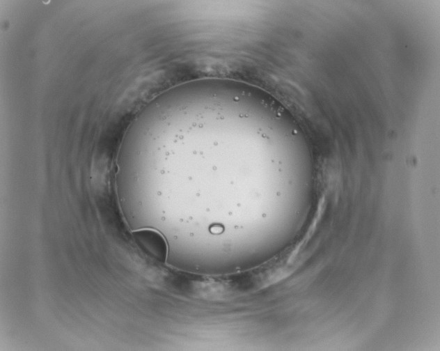 X0000089400511200706151230