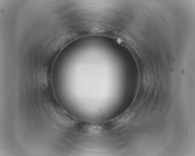 X0000089400512200706151230