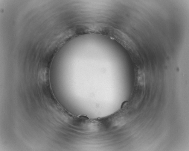 X0000089400514200706151230