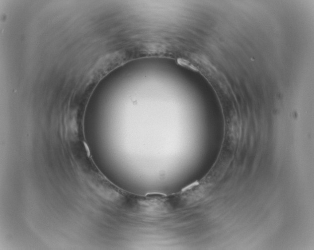 X0000089400516200706151230