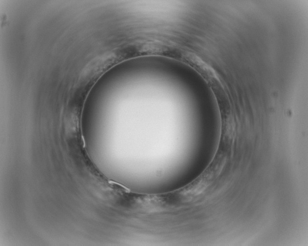 X0000089400517200706151230