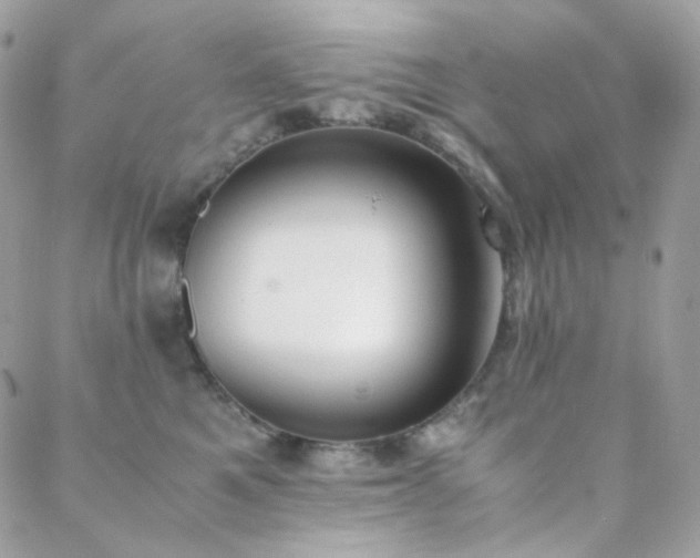 X0000089400521200706151230