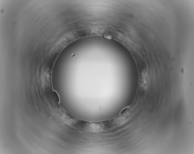 X0000089400522200706151230