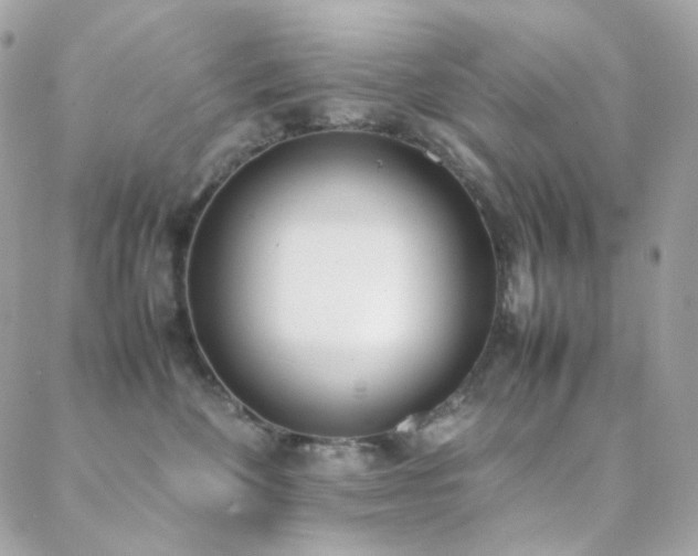 X0000089400524200706151230