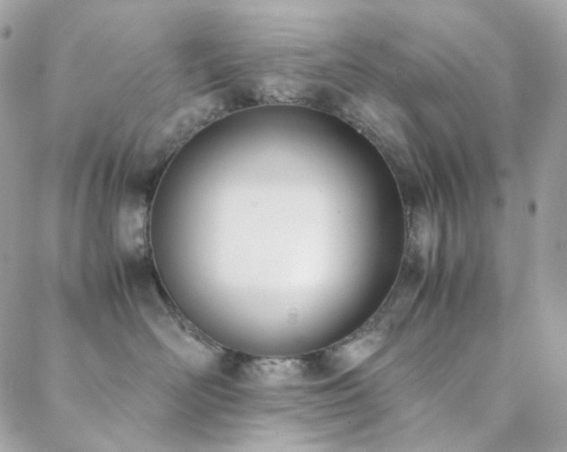 X0000089400526200706151230