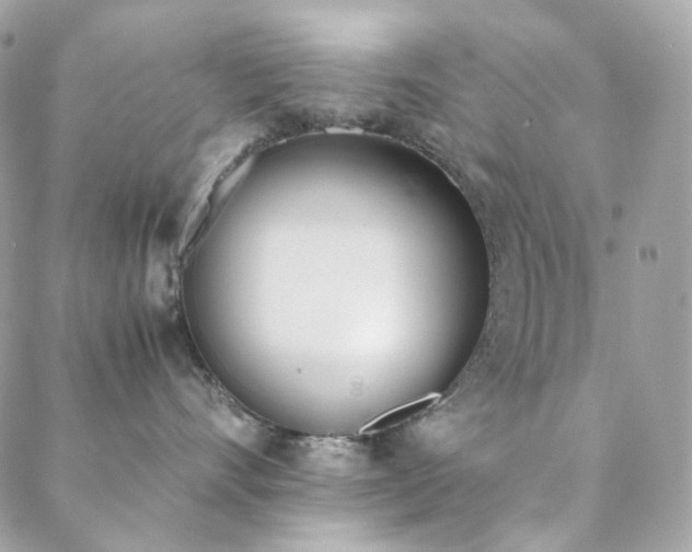 X0000089400528200706151230