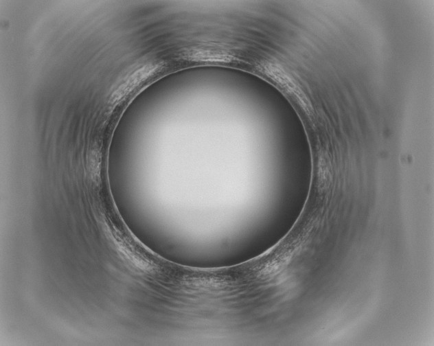 X0000089400533200706151229