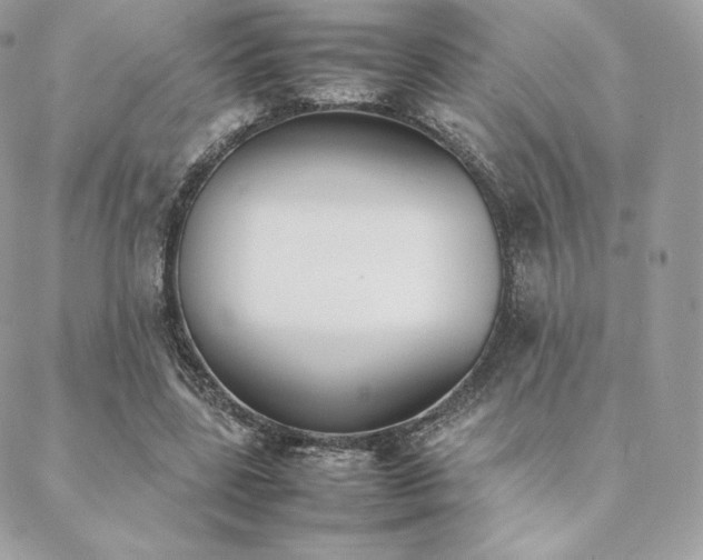 X0000089400539200706151229