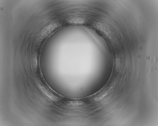 X0000089400541200706151229
