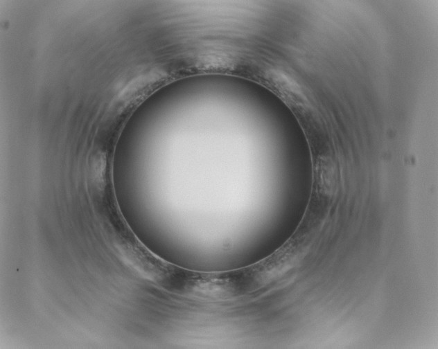X0000089400550200706151229
