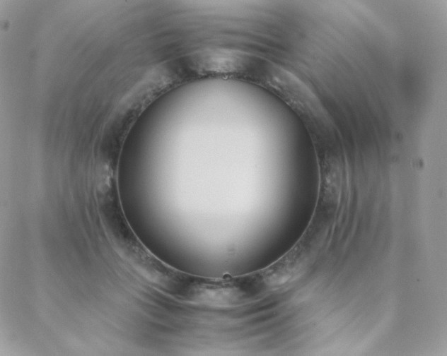 X0000089400555200706151229