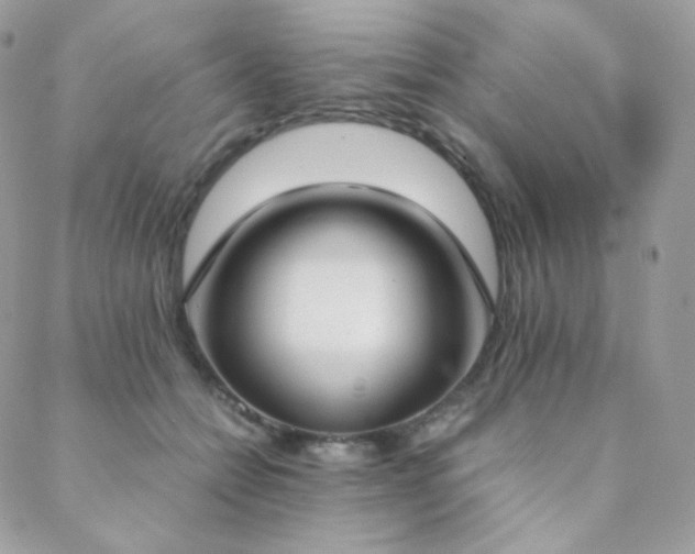 X0000089400558200706151229