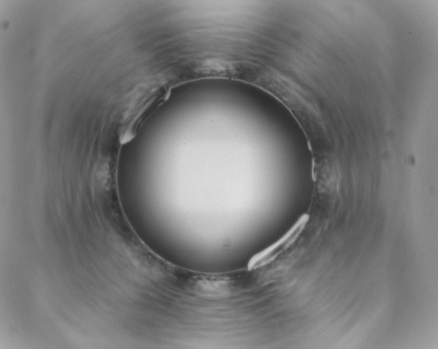 X0000089400560200706151229