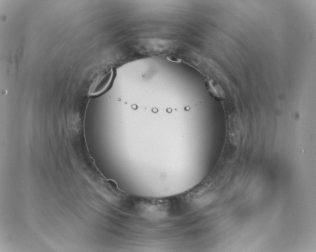 X0000089400563200706151229