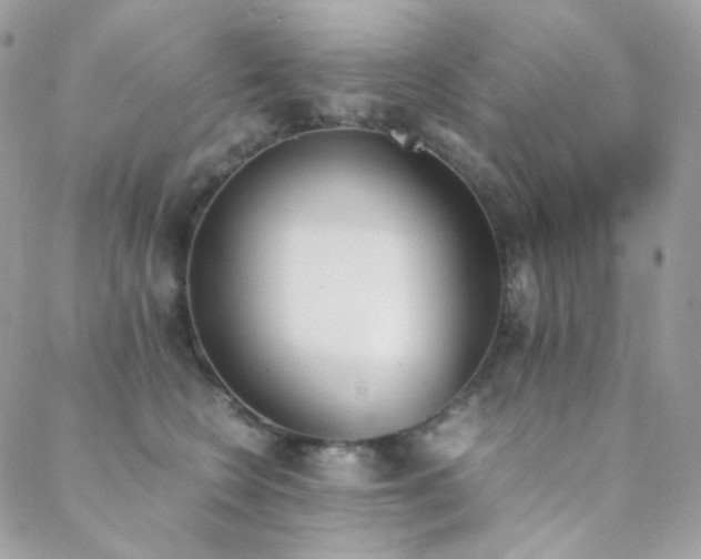 X0000089400566200706151229