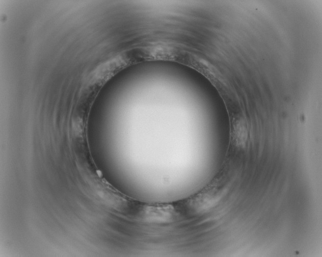 X0000089400571200706151229
