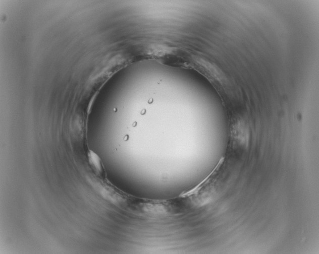 X0000089400572200706151230