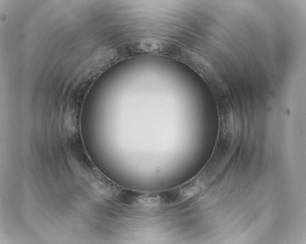 X0000089400606200706151228