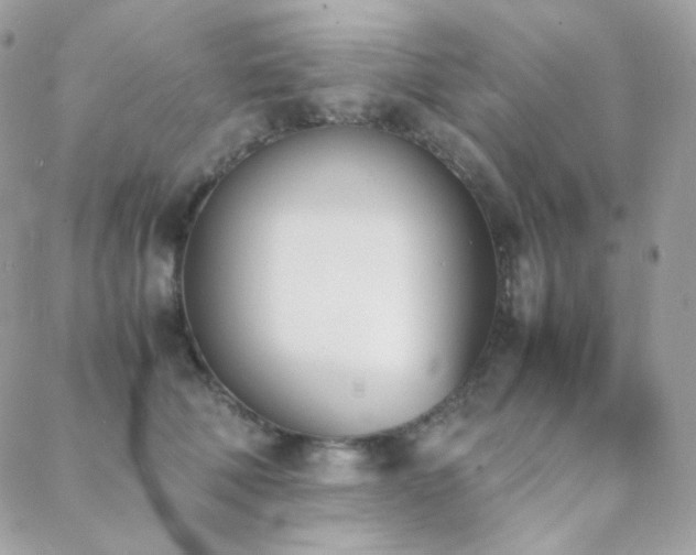 X0000089400610200706151228