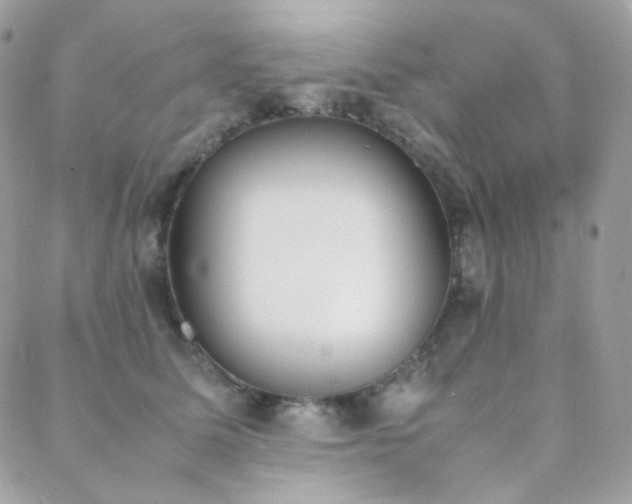 X0000089400611200706151228