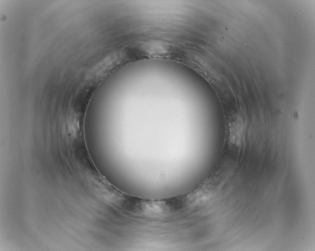 X0000089400618200706151228